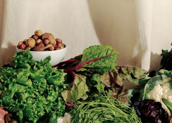 11 Non-Dairy Calcium-Rich Foods to Boost Your Intake