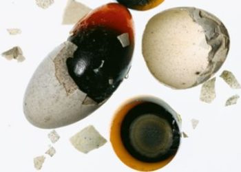 From the Archives: Jeffrey Steingarten Learns the Art of the Omelet