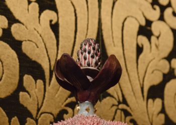 “The Only True Protest Is Beauty”—Inside the Inaugural Presentation at Dries Van Noten’s New Fondazione in Venice