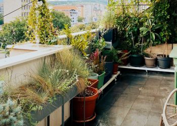5 Small Garden Ideas for Making the Most of Your City Greenscape