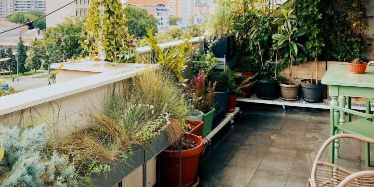 5 Small Garden Ideas for Making the Most of Your City Greenscape
