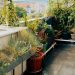 5 Small Garden Ideas for Making the Most of Your City Greenscape