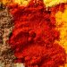 7 Anti-Inflammatory Spices to Enjoy Now