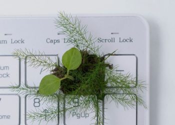 The AI Startups Promising a Sustainable Future for Fashion