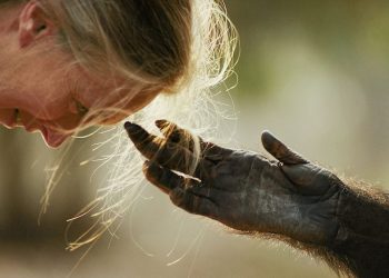A celebration of Earth Day through the images of the best environmental photographers