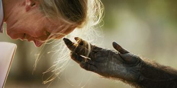A celebration of Earth Day through the images of the best environmental photographers