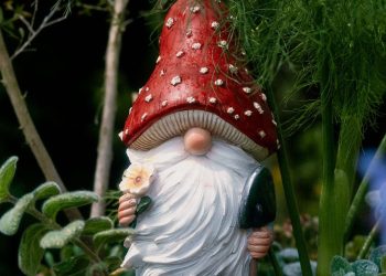 Gnome More Rules: A Day at Chelsea Flower Show With the Unbanned Garden Gnomes