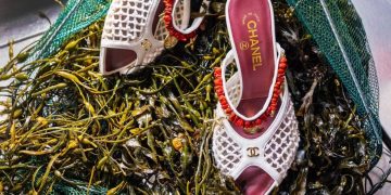 The Summer of the Seaside—The Best Shell Accessories of the Season