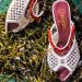 The Summer of the Seaside—The Best Shell Accessories of the Season