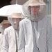 Can Fashion Handle the Heat?