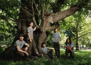 Climbing Trees With the Star Arborists of Central Park