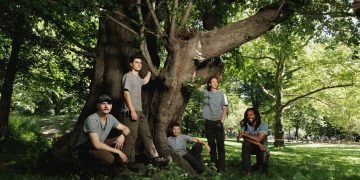 Climbing Trees With the Star Arborists of Central Park