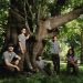 Climbing Trees With the Star Arborists of Central Park