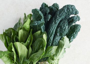 4 Antioxidant-Rich Foods Japanese Women Eat for Gut Health