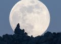 Full Moon Ritual: Here’s What to Do Today for Future Success