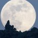Full Moon Ritual: Here’s What to Do Today for Future Success