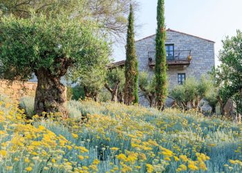 This Cult-Favorite Corsica Estate Has Opened a Magical New Farm Hotel