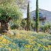 This Cult-Favorite Corsica Estate Has Opened a Magical New Farm Hotel