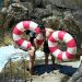 I Want What They Have: Dua Lipa and Callum Turner in Their Honeymoon Era