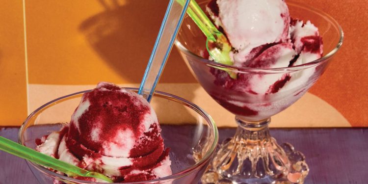 This New Cookbook Tells the Untold Story of How Black Americans Shaped Ice Cream History