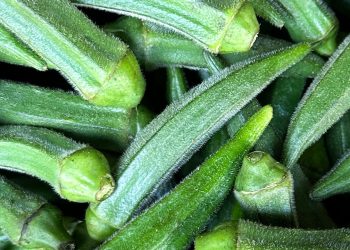 Is Okra Water the Secret to Better Hydration?
