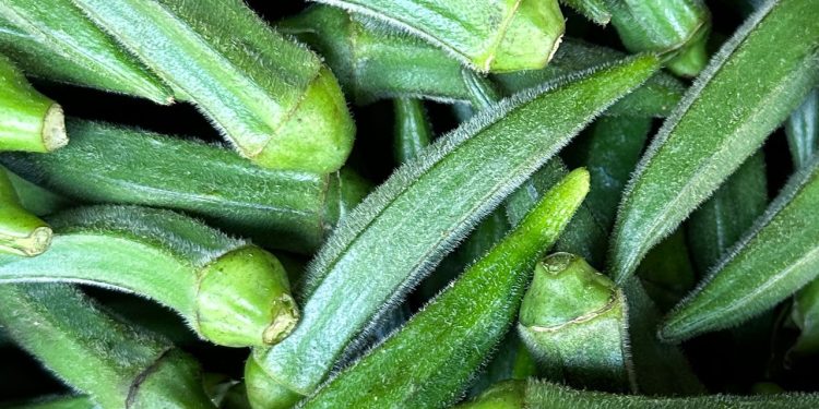 Is Okra Water the Secret to Better Hydration?
