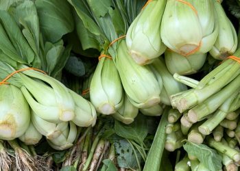 Is Fiber Actually the “Natural” GLP-1 Booster People Think It Is?