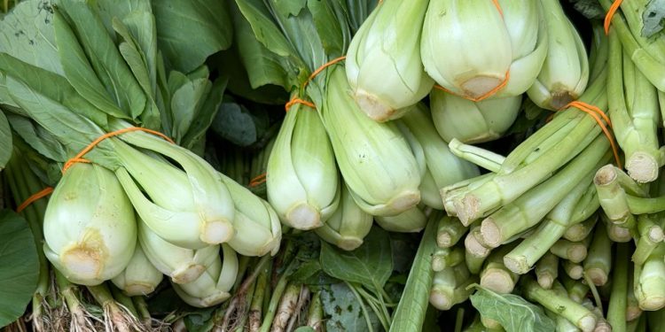 Is Fiber Actually the “Natural” GLP-1 Booster People Think It Is?