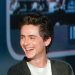 Timothée Chalamet’s ‘Call Me by Your Name Hair’ Is Back in Time for Summer