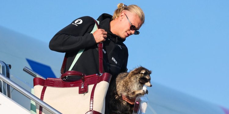 Erling Haaland Brings a Brand New Bag—and a Taxidermied Raccoon—Home to Norway