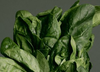 Marked Safe From The Parasite: 6 Delicious Foods With More Fiber Than Spinach