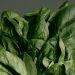Marked Safe From The Parasite: 6 Delicious Foods With More Fiber Than Spinach