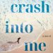 ‘The Idea of You’ Author Robinne Lee on Her New Novel, ‘Crash Into Me’
