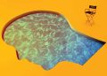 In Roshan Sethi’s Debut Novel, ‘The Simp,’ Invisibility Is Both an Asset and a Nightmare